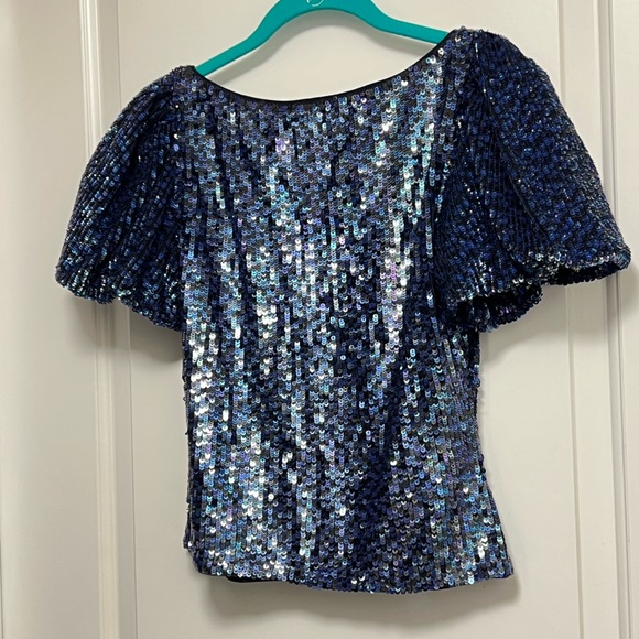 Emily Shalant  Sequin V Neck Top Lined Blue ( 34”Bust x 19”Long) Party Prom - Picture 5 of 9